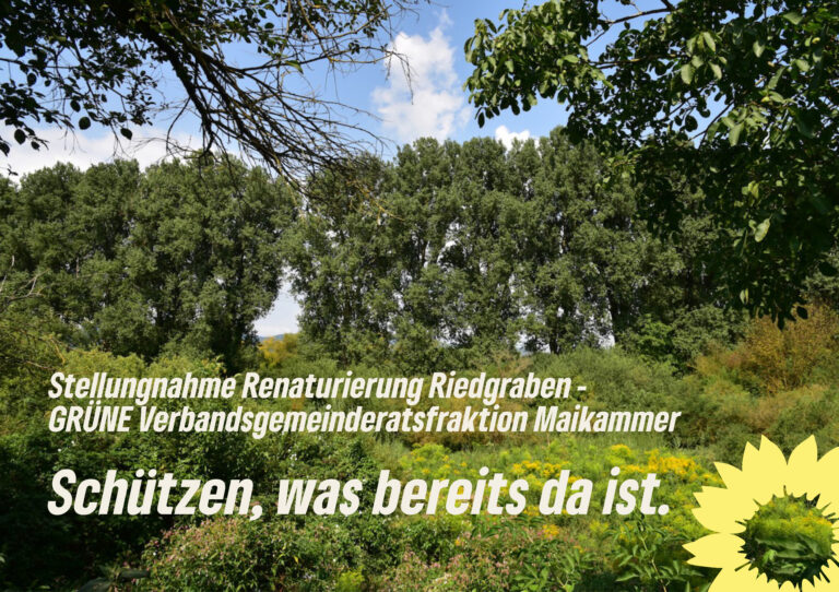 Stellungnahme der GRÜNEN VG-Ratsfraktion zur Renaturierung des Riedgrabens