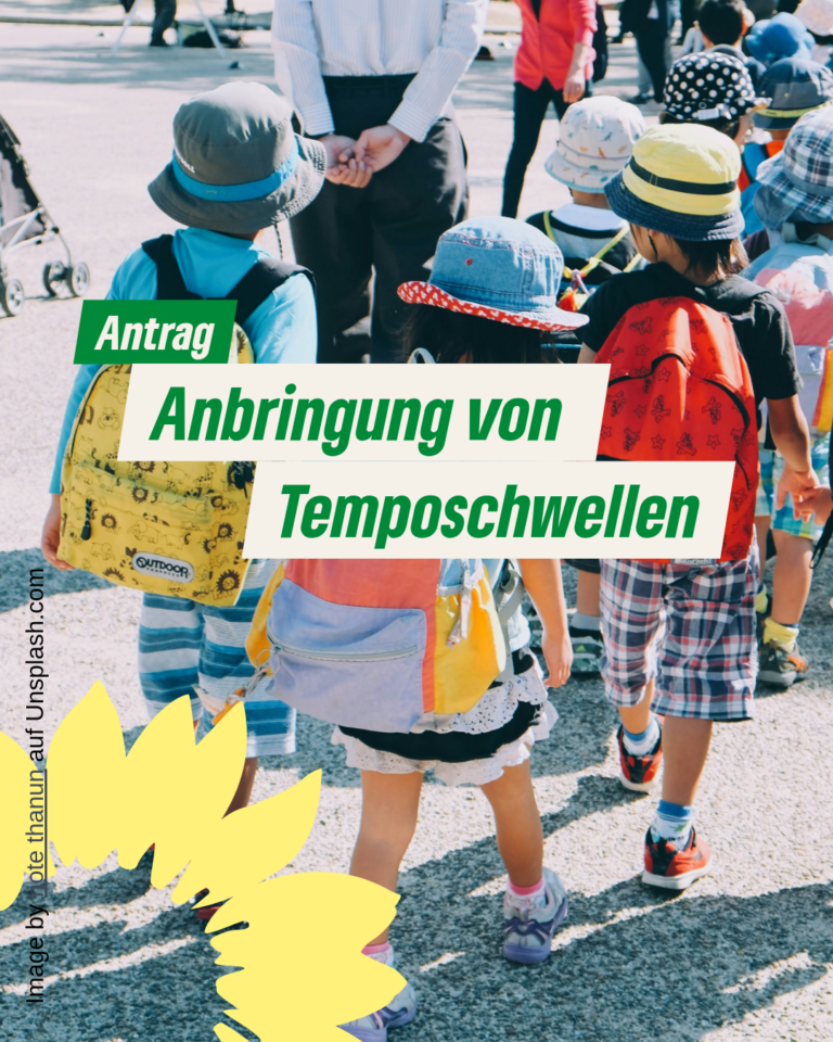 Antrag Anbringung von Temposchwellen